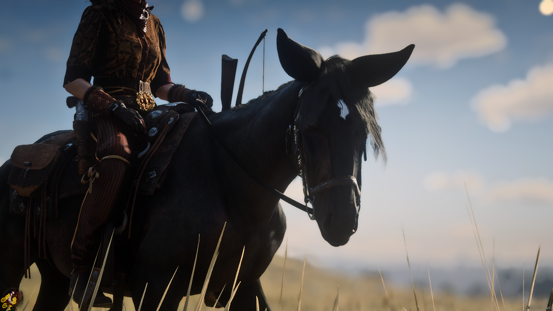 Seal Bay Mule in RedM