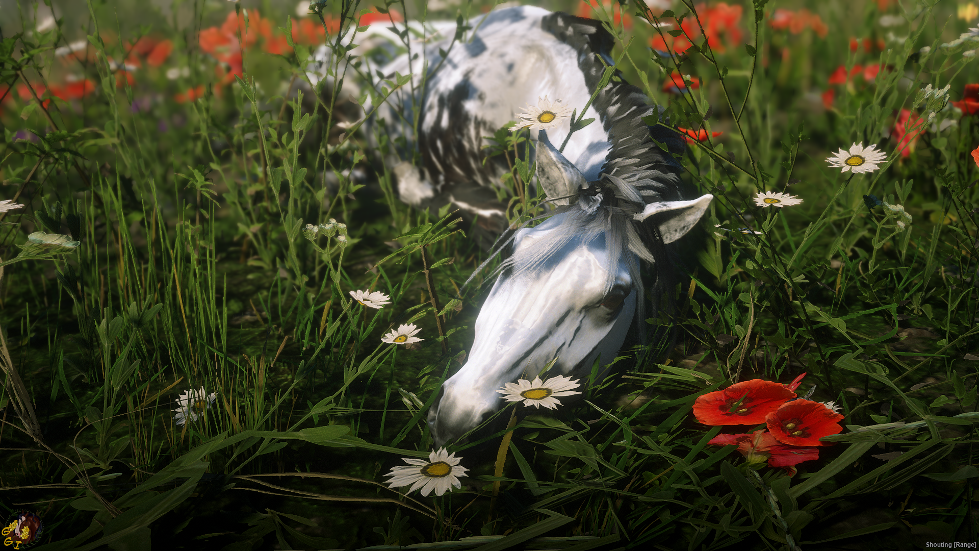stop and smell the flowers